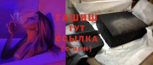 гашик Верея