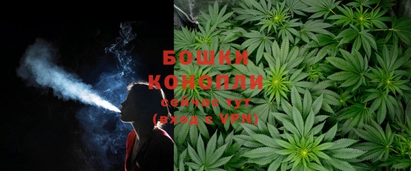 стафф Бронницы